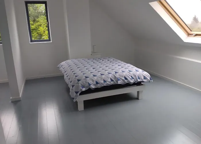 Sligo Roscommon 펜션 *