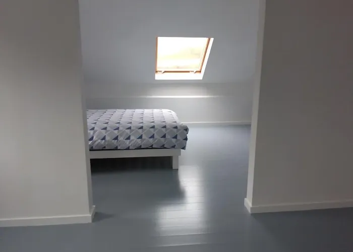 Sligo Roscommon * 보일